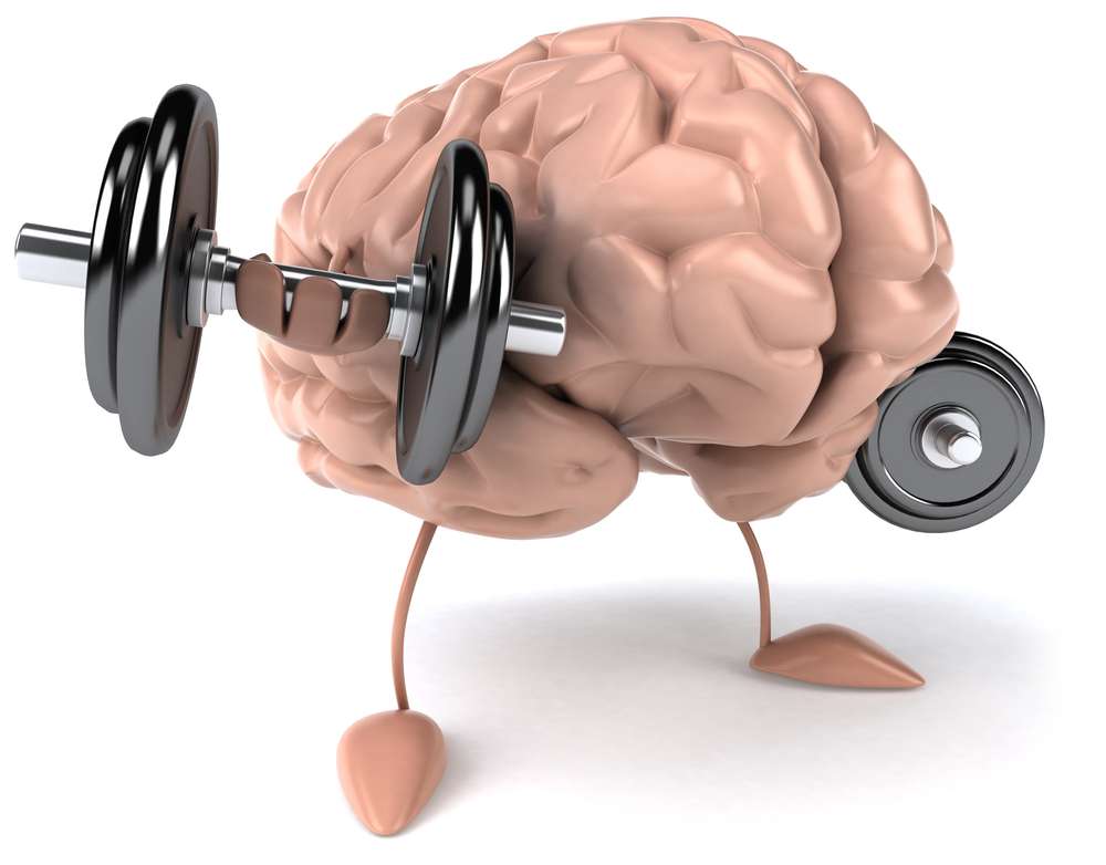 Какой нужен витамин для мозга и памяти