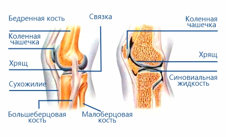 Боль в колене